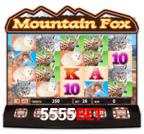 5555BET CASSINO